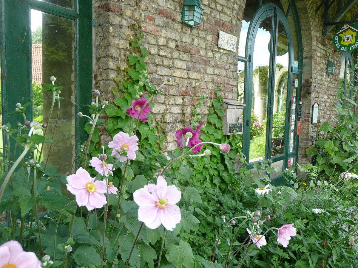Manoir De Bois En Ardres Bed & Breakfast Eksteriør bilde