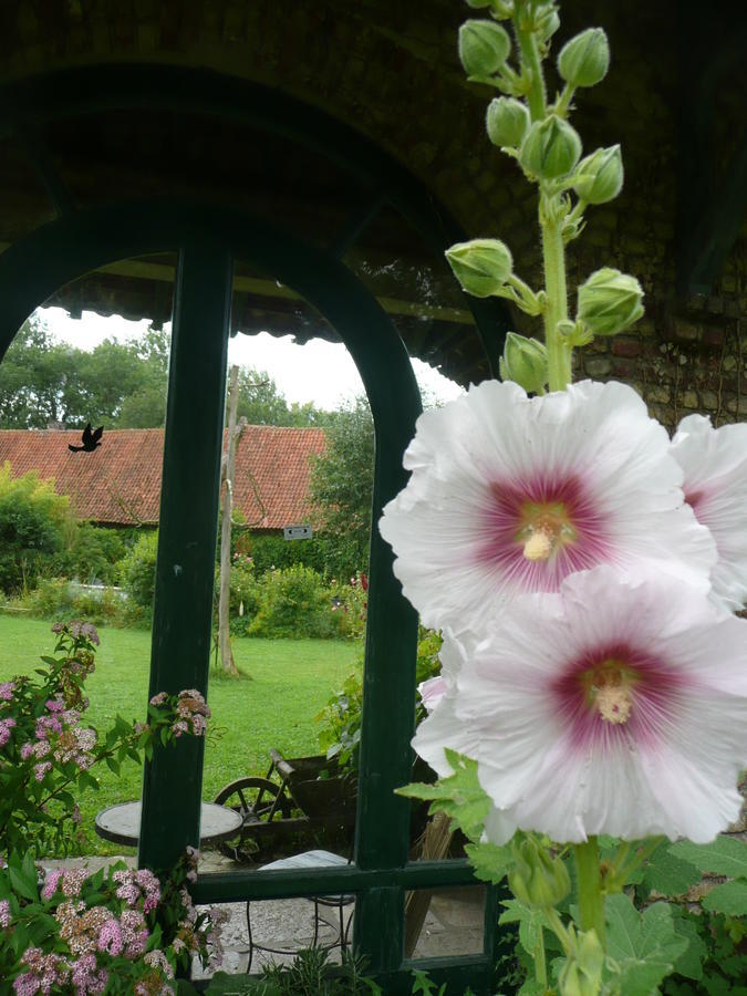 Manoir De Bois En Ardres Bed & Breakfast Eksteriør bilde