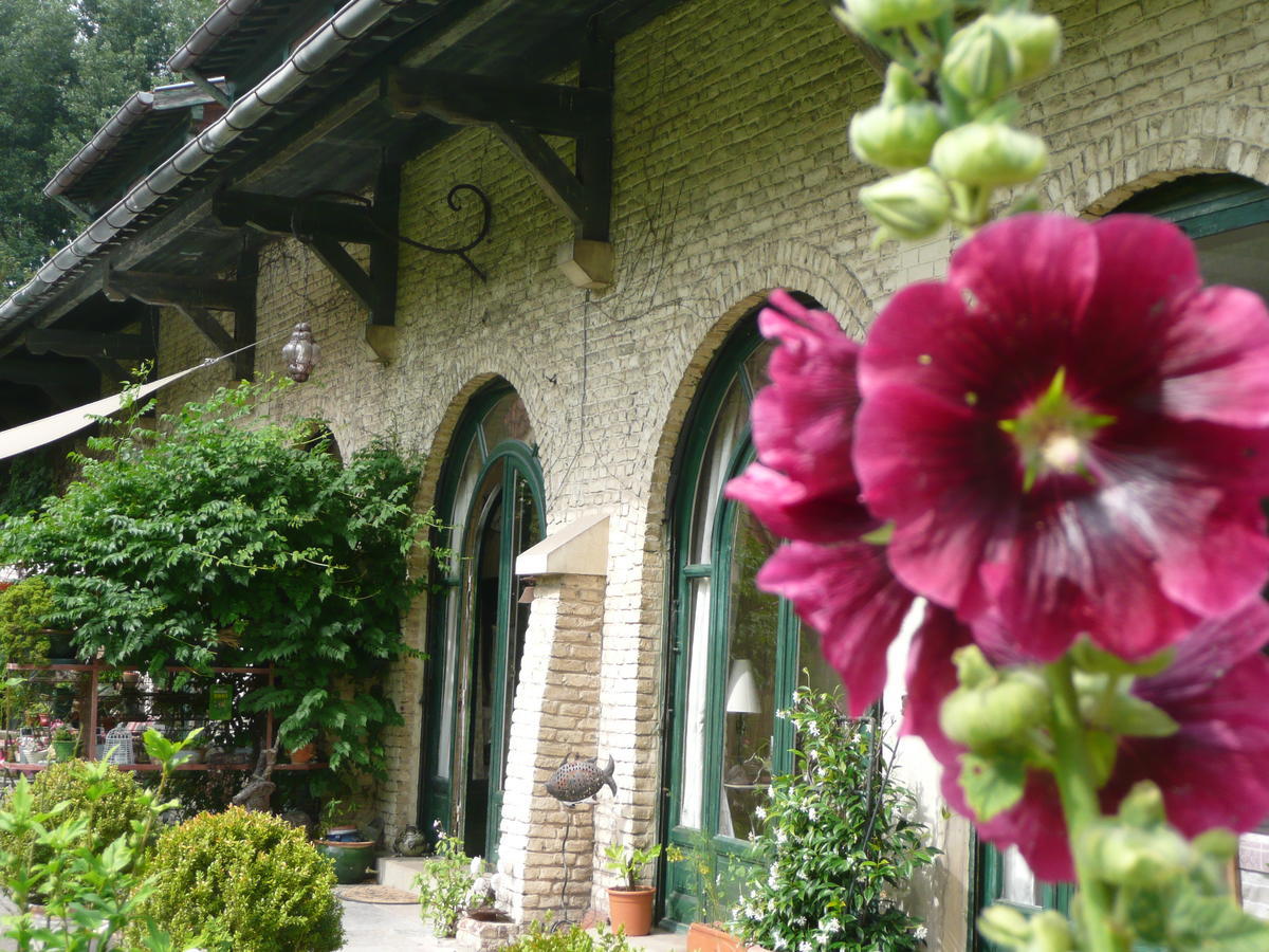 Manoir De Bois En Ardres Bed & Breakfast Eksteriør bilde